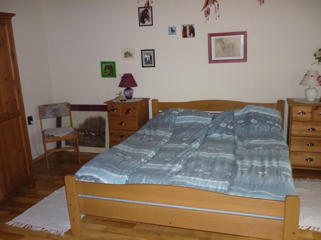 Falusi Vendeghaz Etyek Kamer foto