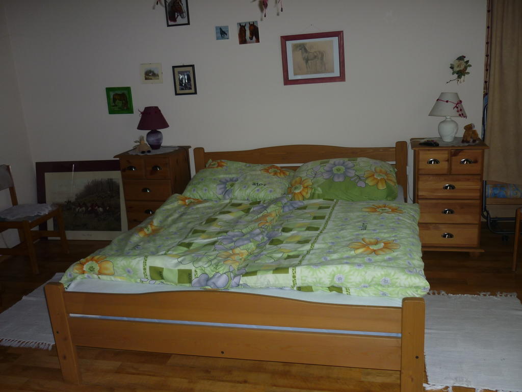Falusi Vendeghaz Etyek Kamer foto