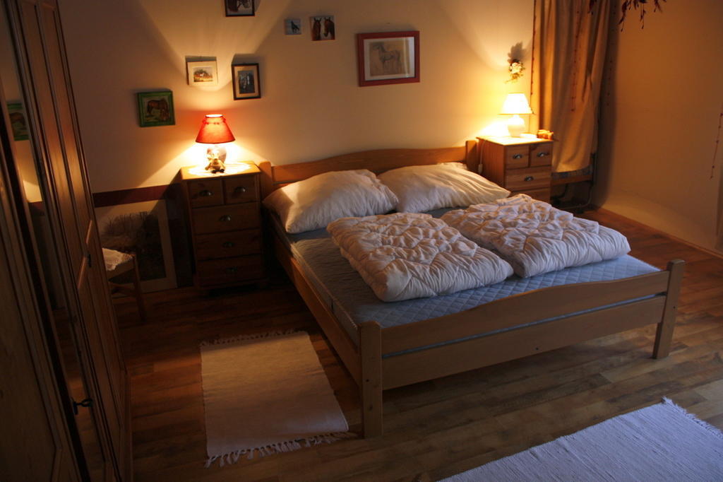 Falusi Vendeghaz Etyek Kamer foto