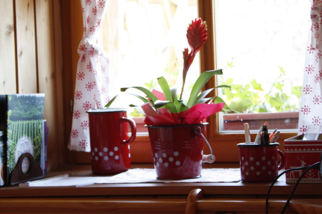 Falusi Vendeghaz Etyek Kamer foto